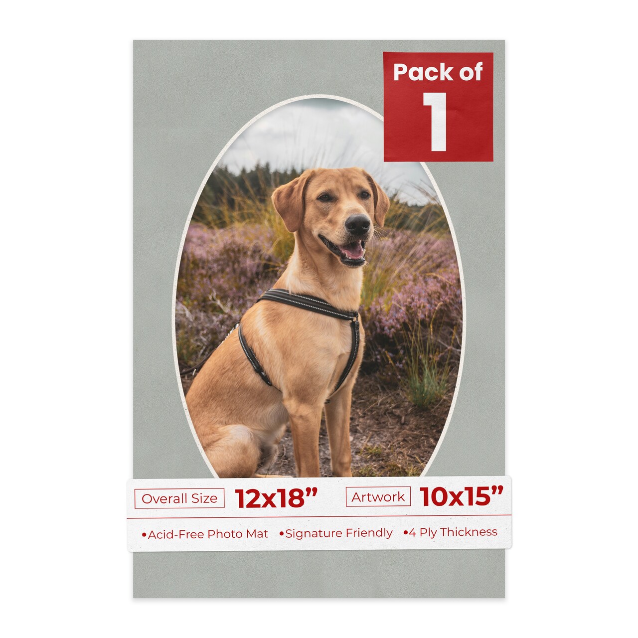 Light Grey Suede Mat Board for 12x18 Frames - Oval Opening for 10x15 Photos